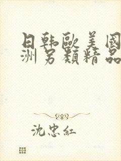 日韩欧美国产亚洲另类精品酒店