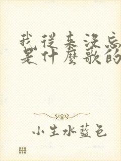 我从来没忘记你是什么歌的歌词