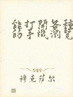 能打开各种网站的手机浏览器