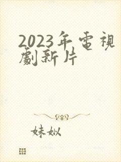 2023年电视剧新片