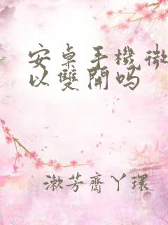 安卓手机微信可以双开吗