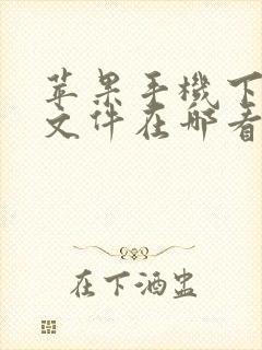 苹果手机下载的文件在哪看