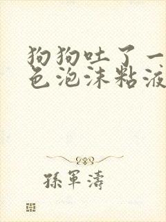 狗狗吐了一滩白色泡沫粘液还拉稀