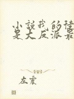 小说我的徒弟都是大反派最新章节阅