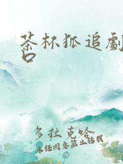 茶杯狐追剧网入口