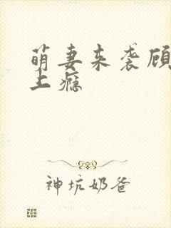 萌妻来袭顾少宠上瘾