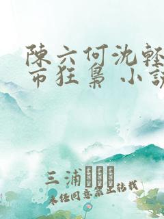陈六何沈轻舞都市狂枭 小说