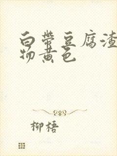 白带豆腐渣分泌物黄色