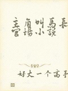 主角叫马长生的官场小说