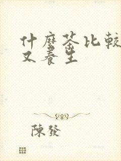 什么茶比较好喝又养生