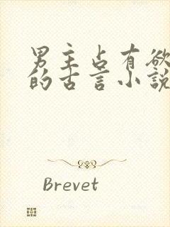 男主占有欲很强的古言小说