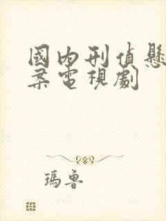 国内刑侦悬疑破案电视剧