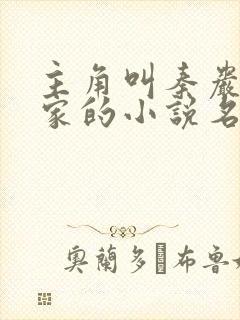 主角叫秦岩灭柳家的小说名字