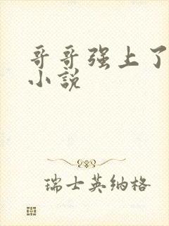 哥哥强上了弟弟小说