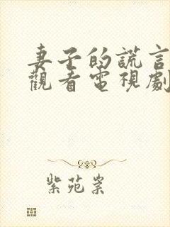 妻子的谎言免费观看电视剧