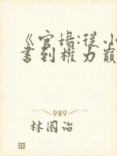 《官场:从小秘书到权力巅峰》