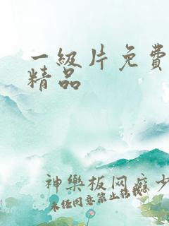 一级片免费国产精品