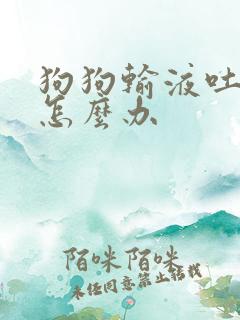 狗狗输液吐黄水怎么办