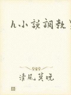 h小说调教男男