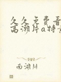 久久免费看少妇高潮片a特黄