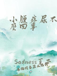 小腹疼尿不尽怎么回事