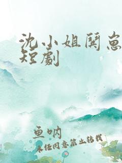 沈小姐哄崽追夫短剧