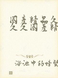 国产精品久久久久久国产精品99久久久