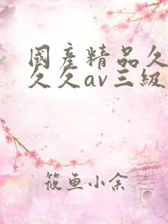 国产精品久久久久久av三级