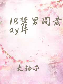 18禁男同黄gay片