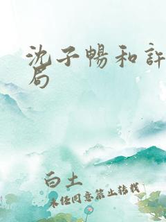 沈子畅和许言结局