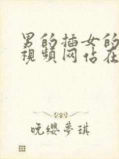 男的插女的阴道视频网站在线播放