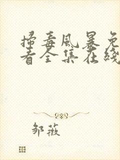 扫毒风暴免费观看全集在线观看