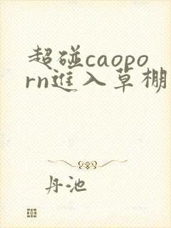 超碰caoporn进入草棚