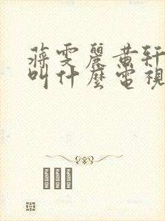 蒋雯丽黄轩演的叫什么电视剧