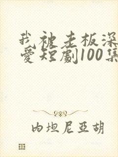 我被老板深深溺爱短剧100集