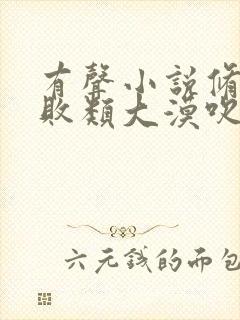 有声小说修真界败类大漠吹来的风