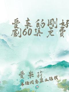 爱来的刚好电视剧60集免费观看