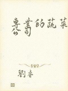 专业的蔬菜配送公司