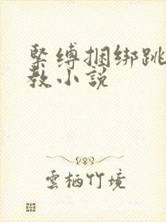 紧缚捆绑跳蛋调教小说