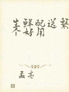 生鲜配送系统哪个好用