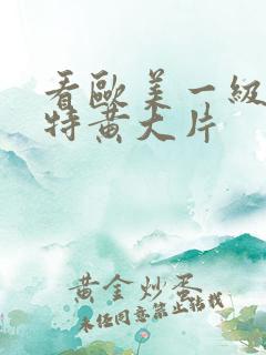 看欧美一级特黄特黄大片