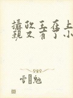 摄政王在上,娘亲又有了小说在线阅读