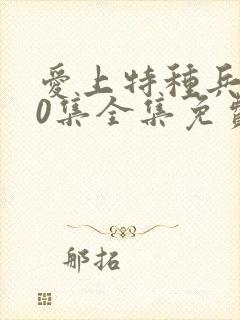 爱上特种兵第40集全集免费播放电视剧