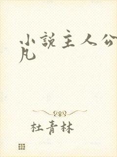 小说主人公叫林凡