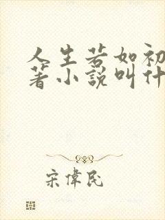 人生若如初见原著小说叫什么名字