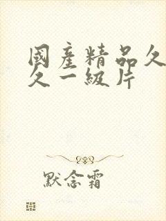 国产精品久久久久一级片