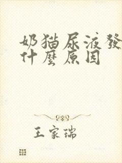 奶猫尿液发黄是什么原因