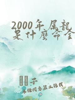 2000年属龙是什么命金木水火土