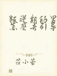 叛逆期的男孩子怎么去引导和沟通