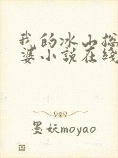 我的冰山总裁老婆小说在线阅读